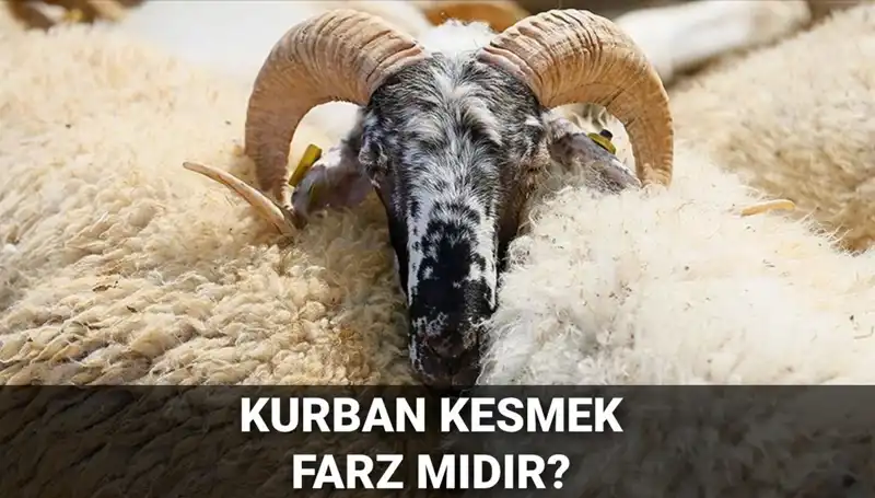 Kurban Kesimi: Farz Mı, Ne Zaman ve Nasıl Yapılmalı?