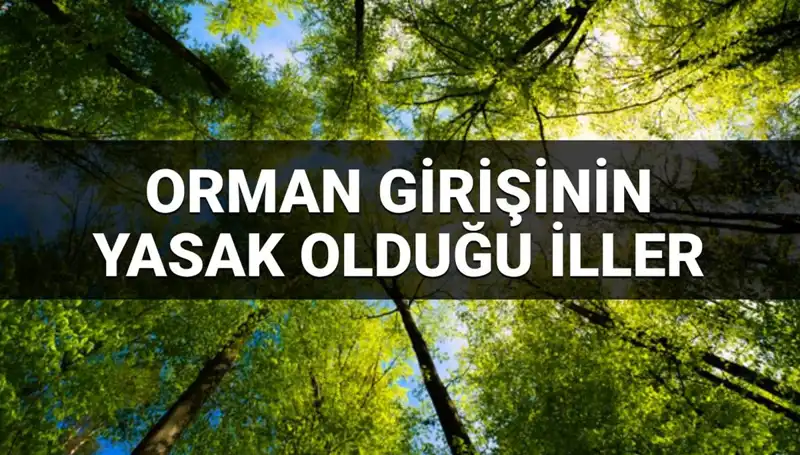 Türkiye’de Ormana Girmesi Yasak Olan İller 2025 Listesi Açıklandı!
