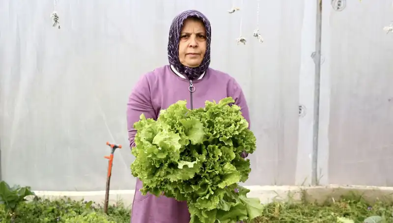 Emekli Olunca Hayalini Gerçekleştirdi: Devlet Desteğiyle Memleketine Döndü
