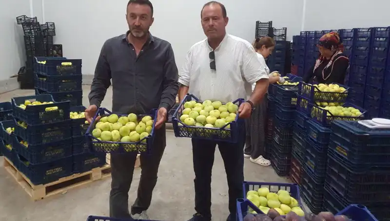 Mersinli Çiftçinin Yüzünü Güldüren Fıstık İhracı: 20 TL’den Başlayan Fiyatlar!