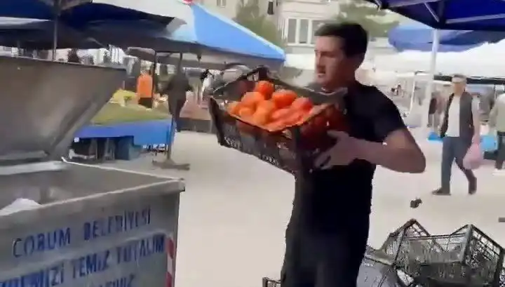 Pazarcının Domatesleri Çöpe Döktükten Sonra Aldığı Şok Cezası