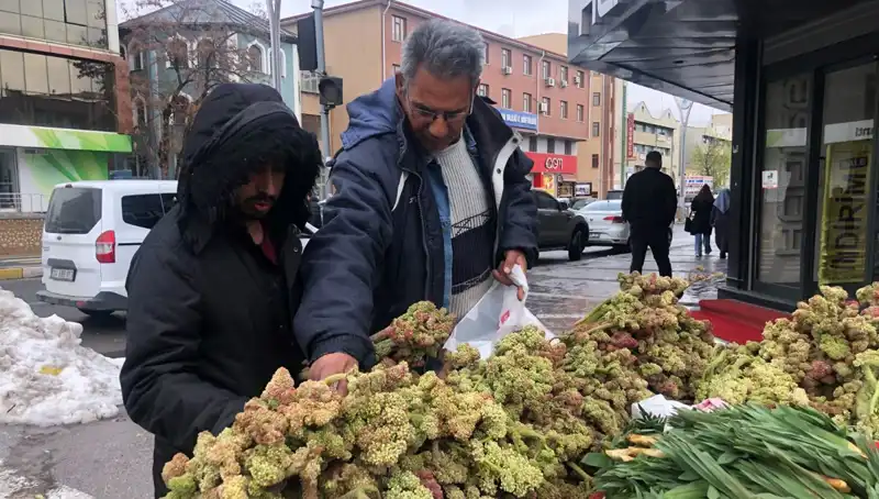 Kendiliğinden Yetişen Vitamin Deposu: Kanserle Mücadelede Yeni Bir Umut
