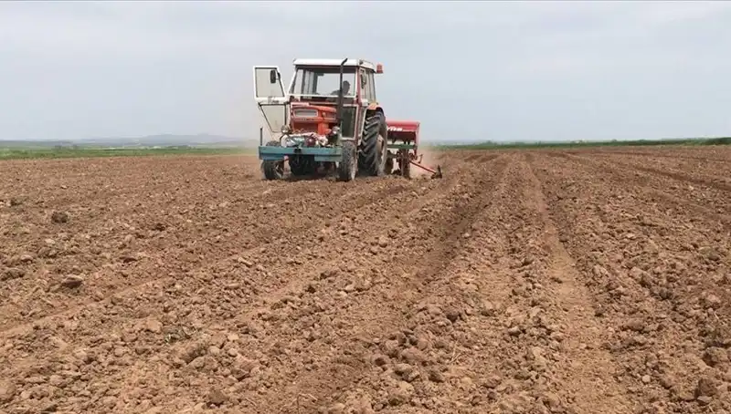 Son 35 Yılın En Kurak Mart Ayı: Yağışlar Rekor Seviyelerde Düştü