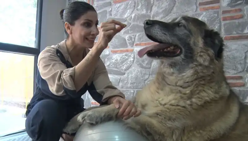 Duman'ın Zayıflama Mücadelesi: Pilates ve Sporla 55 Kilo Vermek Mümkün mü?