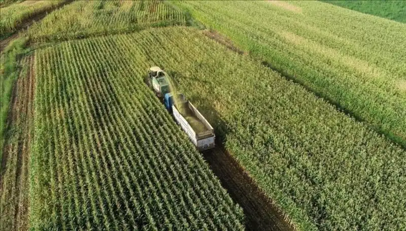 2025 Mart Ayında Mazot ve Gübre Desteği Ödemeleri Son Durum