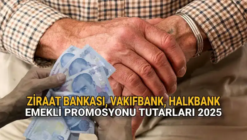2025 Emekli Promosyonları: Kamu Bankalarının Teklifleri ve Fırsatları