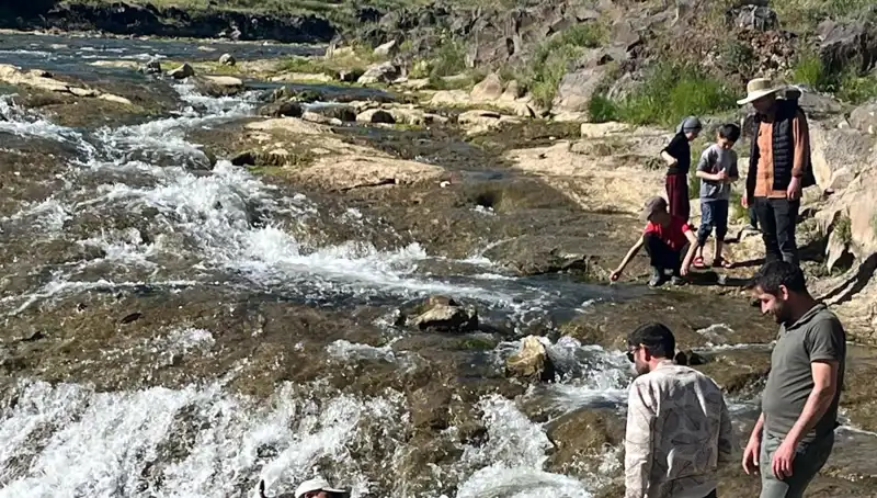 İnci Kefali Göçü: Yerli ve Yabancı Turistlerin Akını Başladı