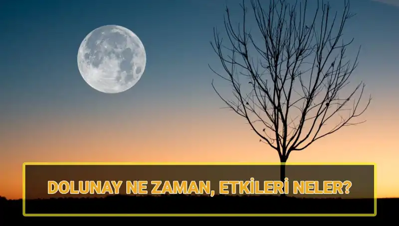 Terazi Dolunayı 2023: Bu Hafta Neler Bekleniyor?