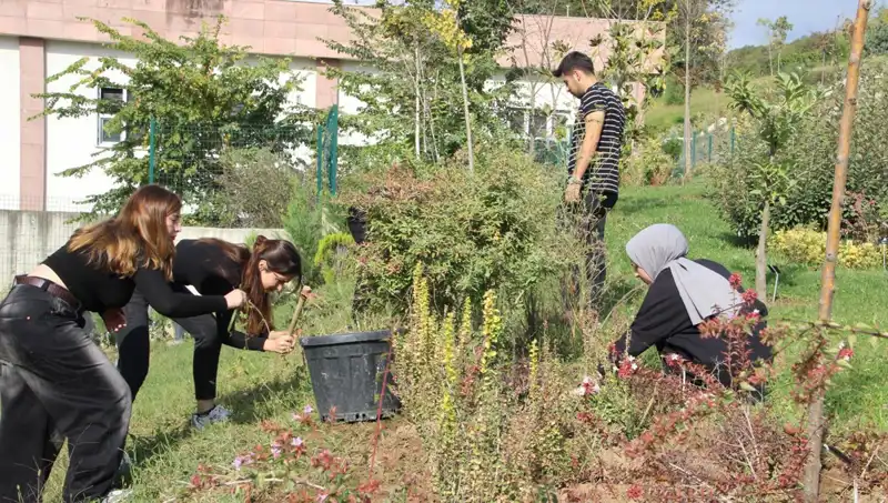 Düzce’nin Hayali Gerçek Oldu: Dünya Çapında Üne Kavuşan Başarı